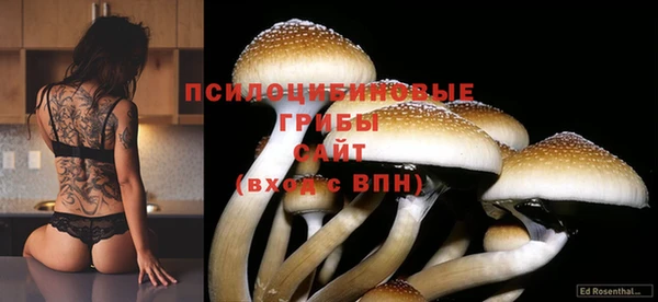 COCAINE Алзамай