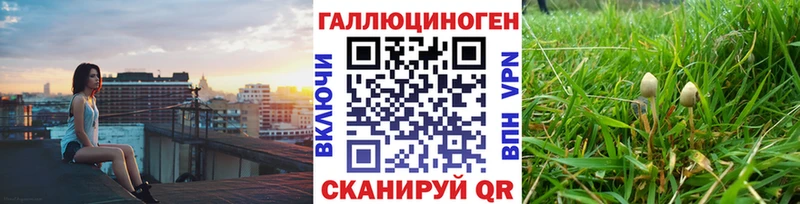 Псилоцибиновые грибы прущие грибы  закладки  ссылка на мегу онион  Орск 